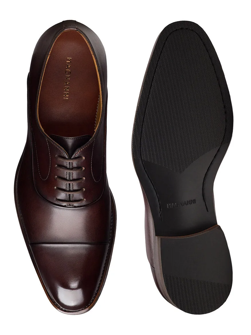 Magnanni Omega in Midbrown